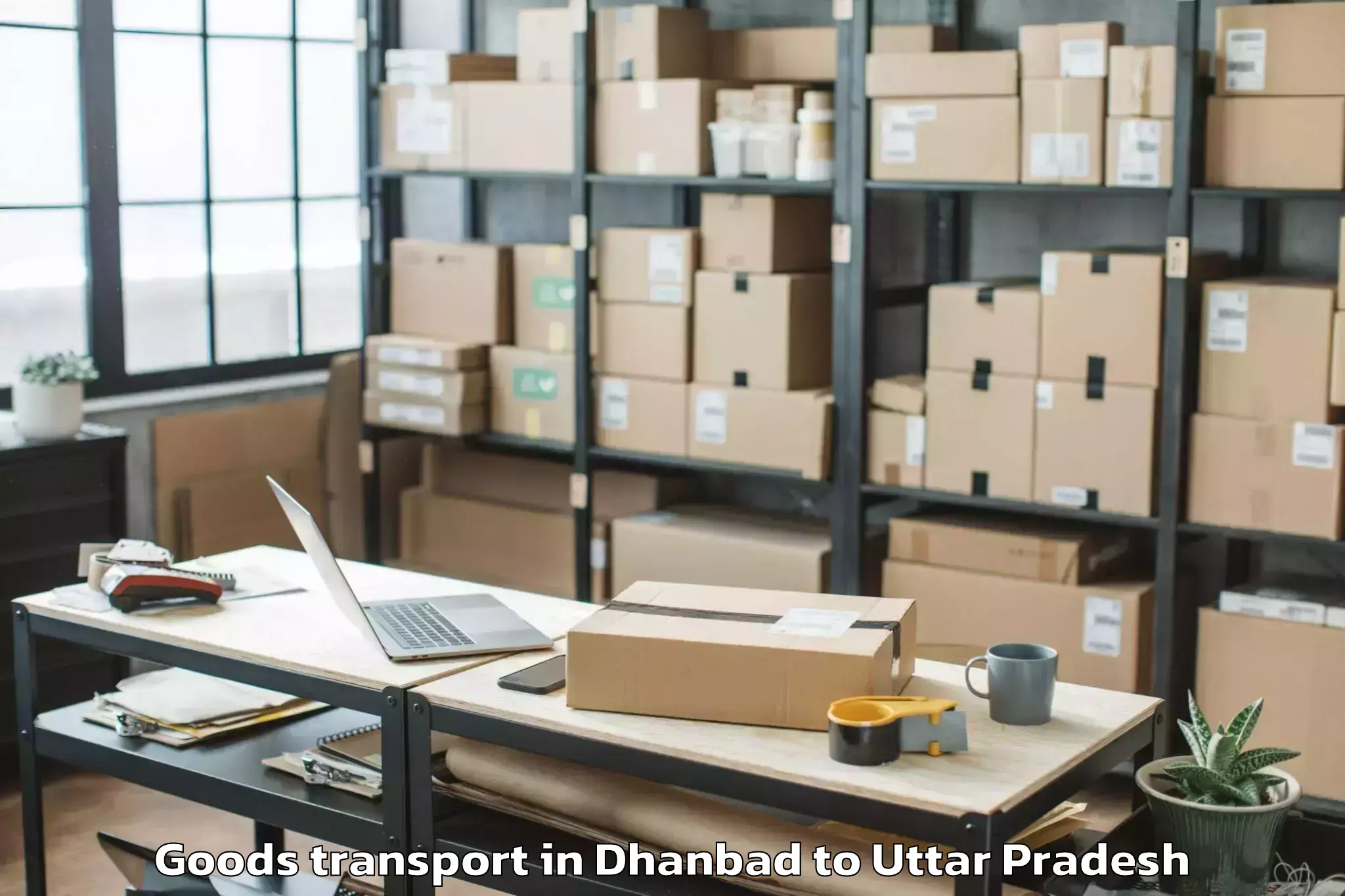 Expert Dhanbad to Invertis University Bareilly Goods Transport